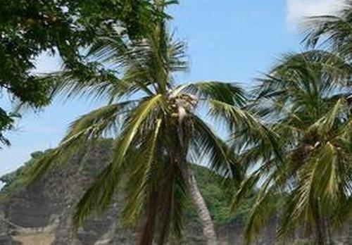 Voyage sur-mesure, El Coco